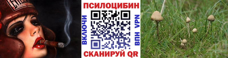 Псилоцибиновые грибы ЛСД  это Telegram  Ржев 